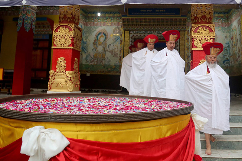 The Cotton-Clad Procession